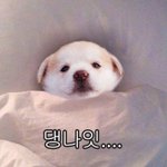 [댓글부탁해] 옷 여러벌 <b>입어</b>보는 게 잘못임?ㅠ