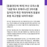 [댓글부탁해] 개 3마리를 건물 18층에서 던져 죽인 학대범