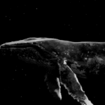 [EXO] 나만 들을 수 없어서