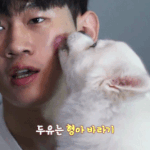 [댓글부탁해] 나 다이어트 중인데