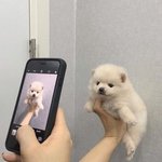 [댓글부탁해] <b>심즈</b>3살까 4살까ㅇㅅㅇ