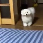 폰<b>비번</b>할만한거 추천좀