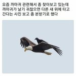 얘들아 나 정시로 갈까 수시로 갈까 ㅠㅠ