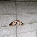 실시간 베스트 올라가본 사람