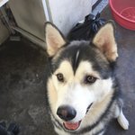 [기구한운명] 작은<b>우연</b>이 모여 인연이 되네요