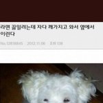 [댓글부탁해] <b>DVD방</b> 이상한데야??