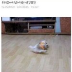 [드루와] 지금 <b>아이돌이</b> 부모가된다면