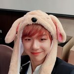 [강다니엘] 봄바람 마지막팬싸 강다니엘 셀카 ( ｯ.• ︿•)ｯ