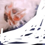 [EXO] 갱쥐 <b>발바닥</b>