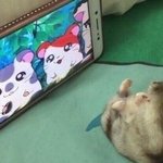 독서실 친구 대신 <b>가도</b> 돼??