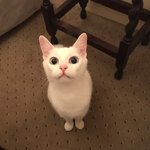 [EXO] 마지막으로 한 <b>장만</b> 올릴게