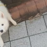 [드루와] 부모님 맨날 돈없다고 하시면서