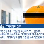 [이것좀봐줘] 도비의 포토북 제작기