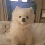 [EXO] 팬질은 급식이<b>처럼</b>