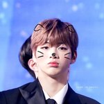 [드루와] <b>강</b>다니엘 갈수록 더 개로 보임