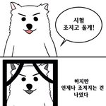 <b>충남</b> 사는 사람?
