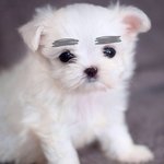 [NCT] 헐 얘도라 나눔 받을려면