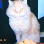 아이폰으로 바꿀건데 <b>기종</b> 추천해주라
