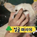 [드루와] 해 본 적 있다 없다 <b>추반</b>하자!!