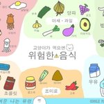 아 진짜 본진 소속<b>사</b> 일 오지게 <b>안</b>해ㅜ;