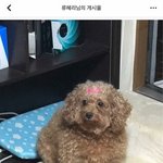 [드루와] <b>수원</b> 사는 애 없니