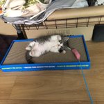 근데 진짜얼굴한번건드리니까