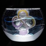 [드루와] 스타쉽은 응<b>원봉</b> 차별