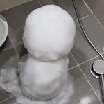 [EXO] 진짜 졸<b>귀지</b> 않냐