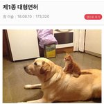 [EXO] 귀(<b>여운</b>)짤
