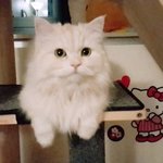 [댓글부탁해] <b>한남식</b> 이라는 이름 ㅇㄸ