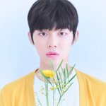 빅히트 신인