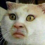 솔직히 너무 무식하면 좀 그렇지않냐...