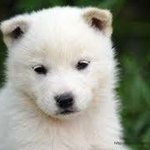 아미 팬톡<b>가셈</b> ~~ 제발