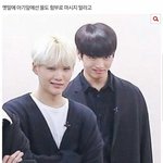 [이것좀봐줘] 솔직히 빅히트 신인 뜬다음 아미들..