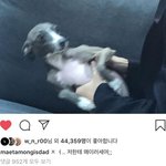 [댓글부탁해] 내 친구가 <b>입원</b>하는데 이유를 안알려줘