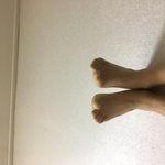 얘들아 L자다리 하면 원래 발 <b>개</b> <b>노래</b>짐?