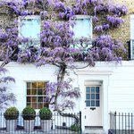 넘나 느낌있게 예쁜 영국의 <b>대문</b>