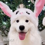 [조언부탁해] 윤곽<b>주사</b> 맞아본애들 들어와줘..