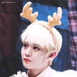 <b>사슴</b>을 닮아 부러운 남돌