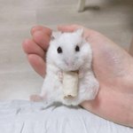 거울 보는데 <b>감탄</b> 나올 정도로 더러움