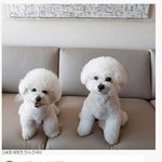 [댓글부탁해] 신세경 유튜브 고정 댓글 시켜버린 <b>악플</b>