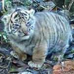 [드루와] 내 친구 좀 그럼..