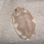 [댓글부탁해] 얘들아̐̈ 나̐̈ 이제 스카이<b>캐슬</b> 1화봤는데
