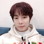 [<b>꼬랑</b>단] 늉보싶