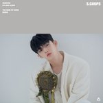 [세븐틴] 꽃이 다 죽어있는데