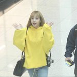 오늘 <b>태국</b>에서 리사 봄. 유튭