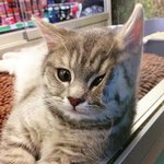 [EXO] 경수 생일기념 운빨테스트(1~10 아무거나 생각하고 들어와)