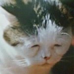 [19] 남친이 할때마다 너무 힘들어함..ㅋㅋ