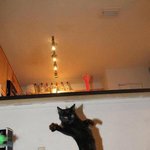 [댓글부탁해] 우체국 박스 사이즈 잘 아는사라뮤ㅠㅠ