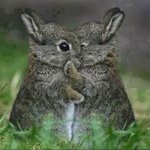 첫 <b>짝꿍</b>~